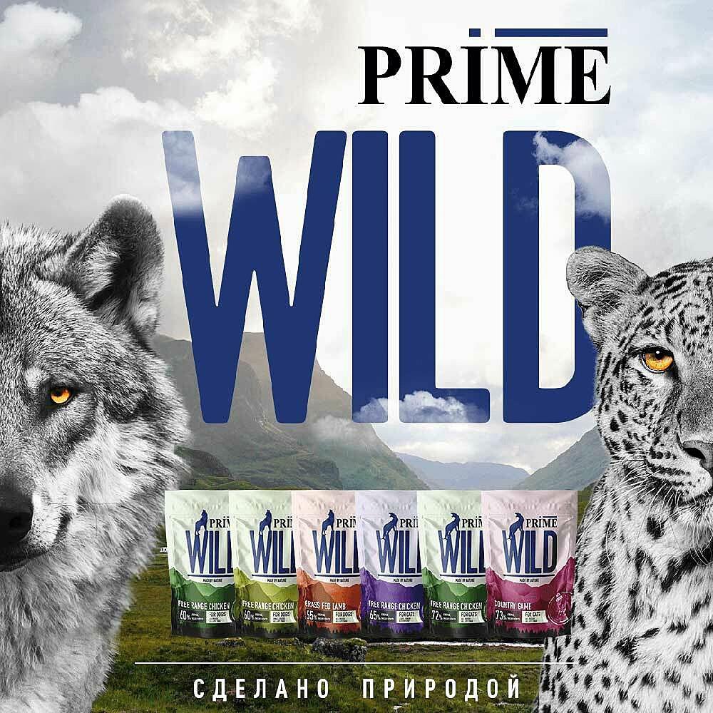 prime